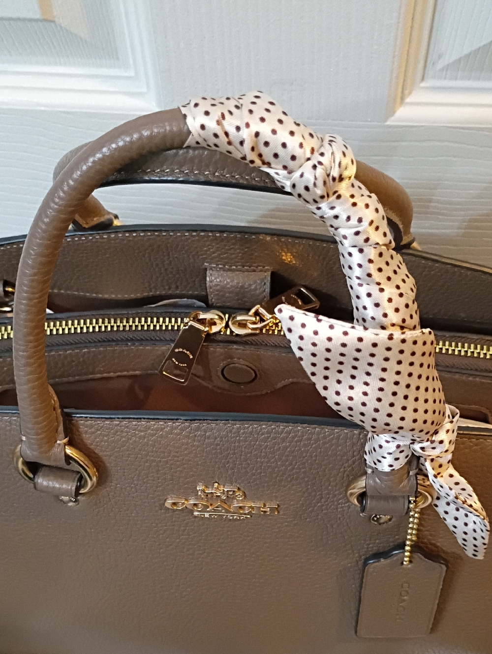 Savannah Carryall Bag - Picture 6 of 12